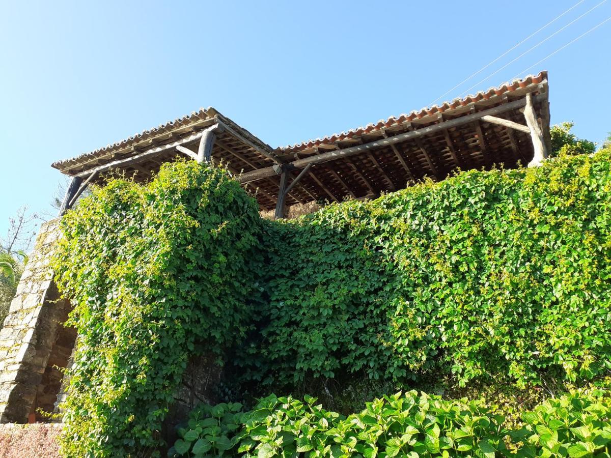 Casa Do Tojo E Rosmaninho Villa Ferreira do Zezere Bagian luar foto